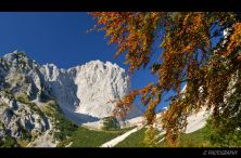 herbst am ellmauer tor.jpg